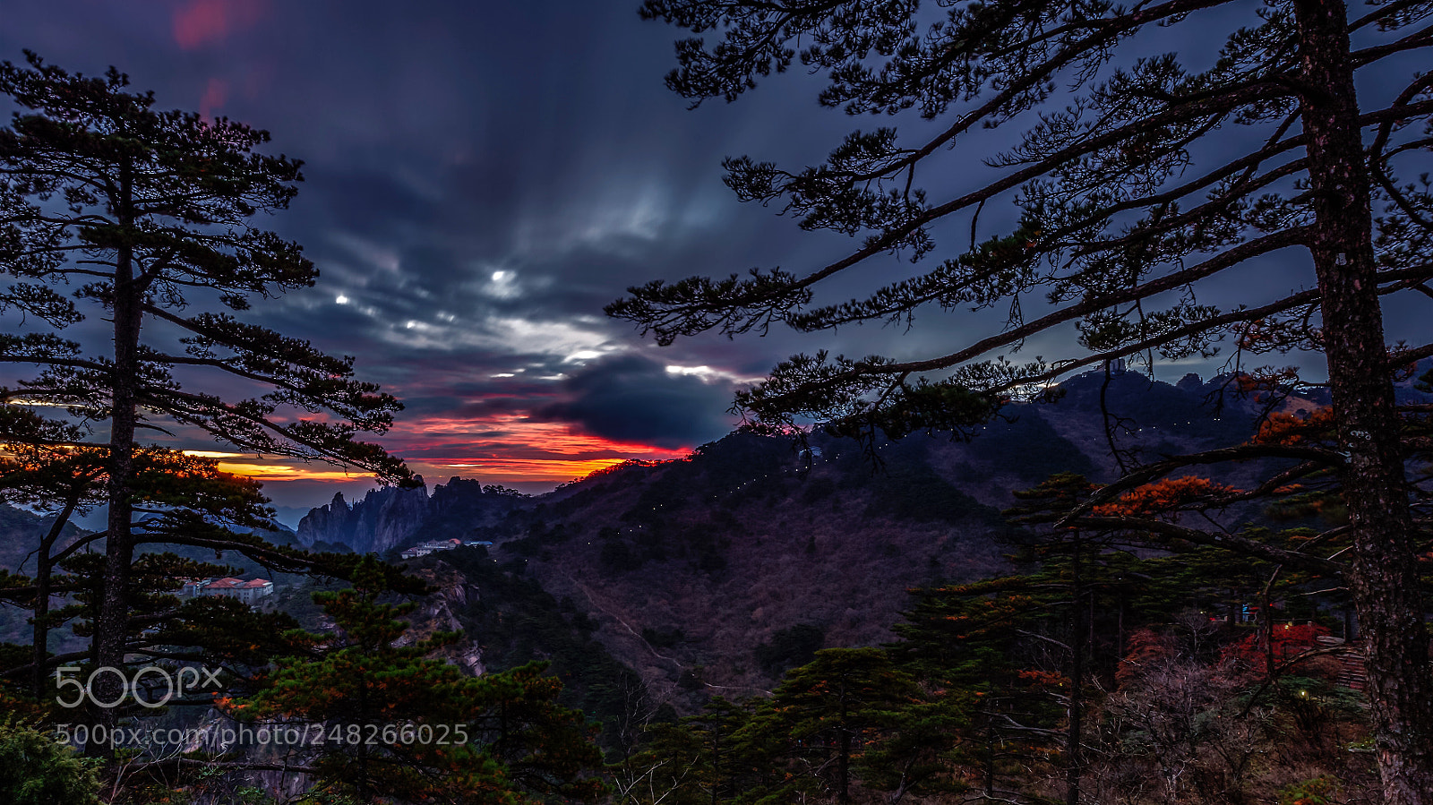 Canon EOS 5DS R sample photo. Good morning photography