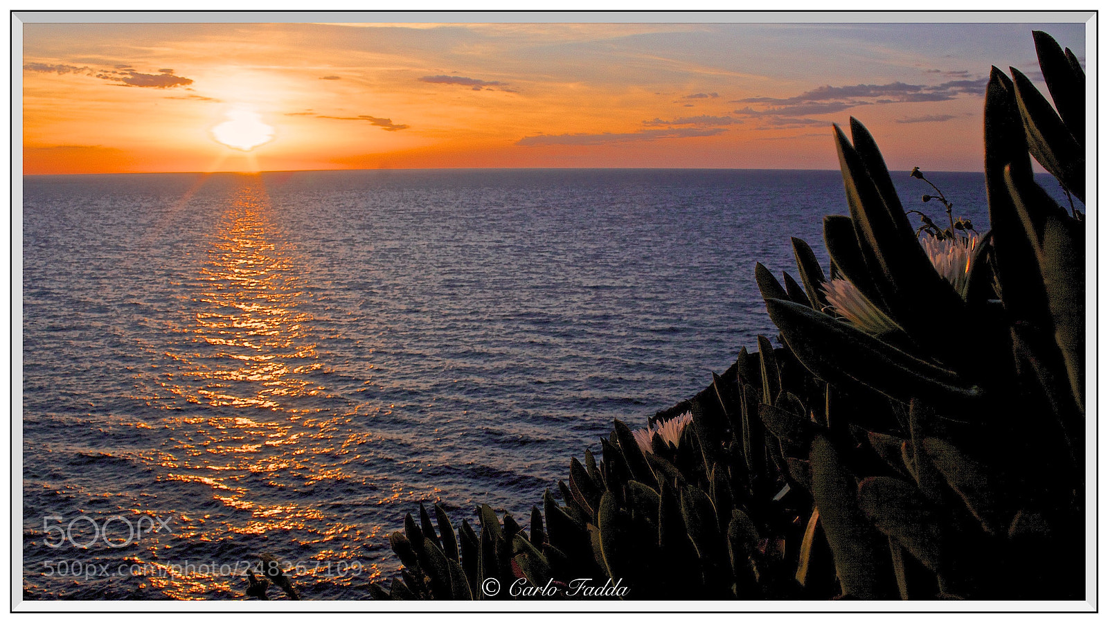 Canon EOS 50D sample photo. Capo altana photography