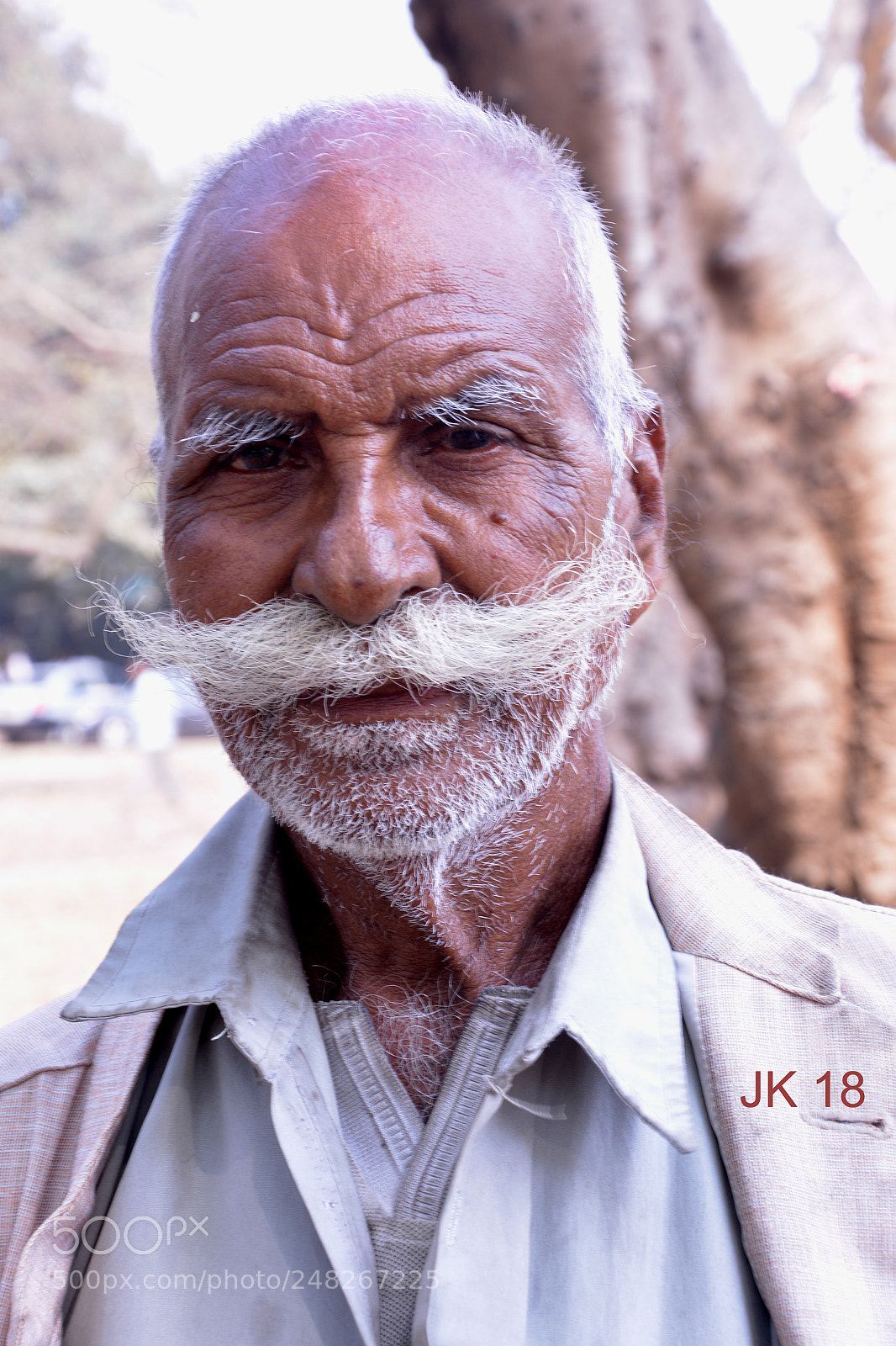 Nikon D5200 sample photo. Jl photography