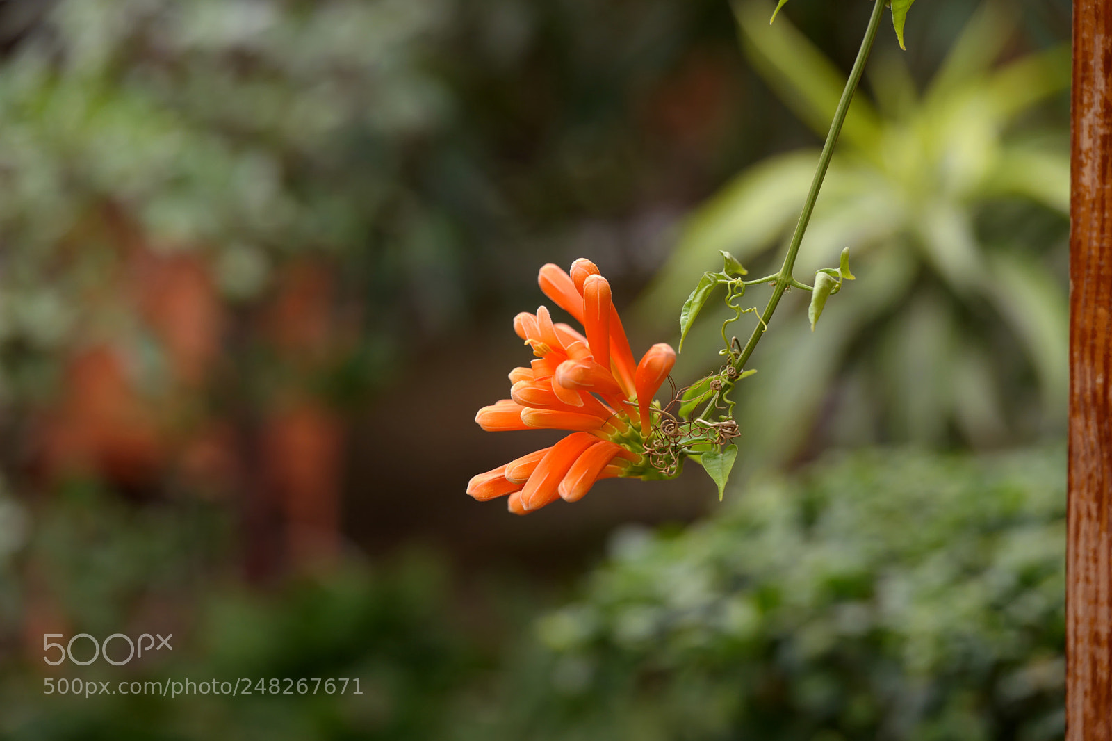 Leica SL (Typ 601) sample photo. Untitled photography