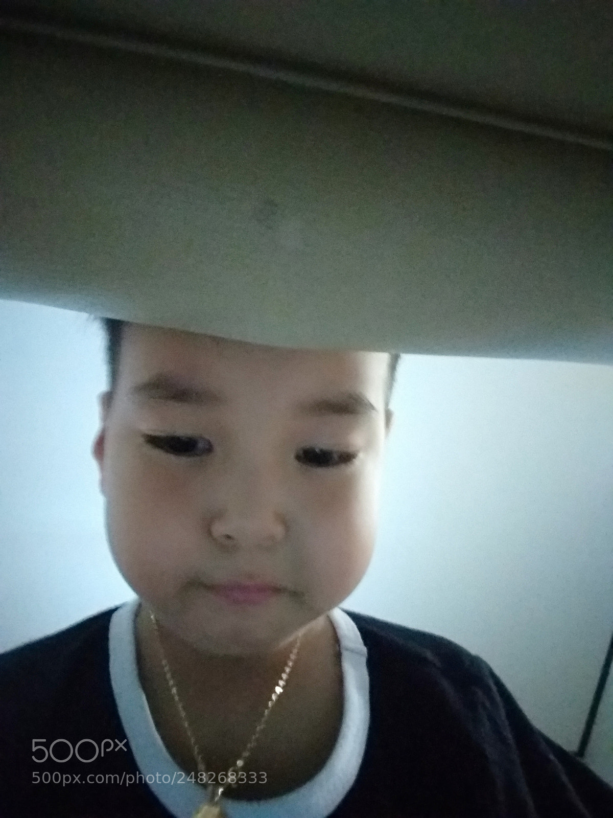 Xiaomi MI MAX 2 sample photo. Untitled photography