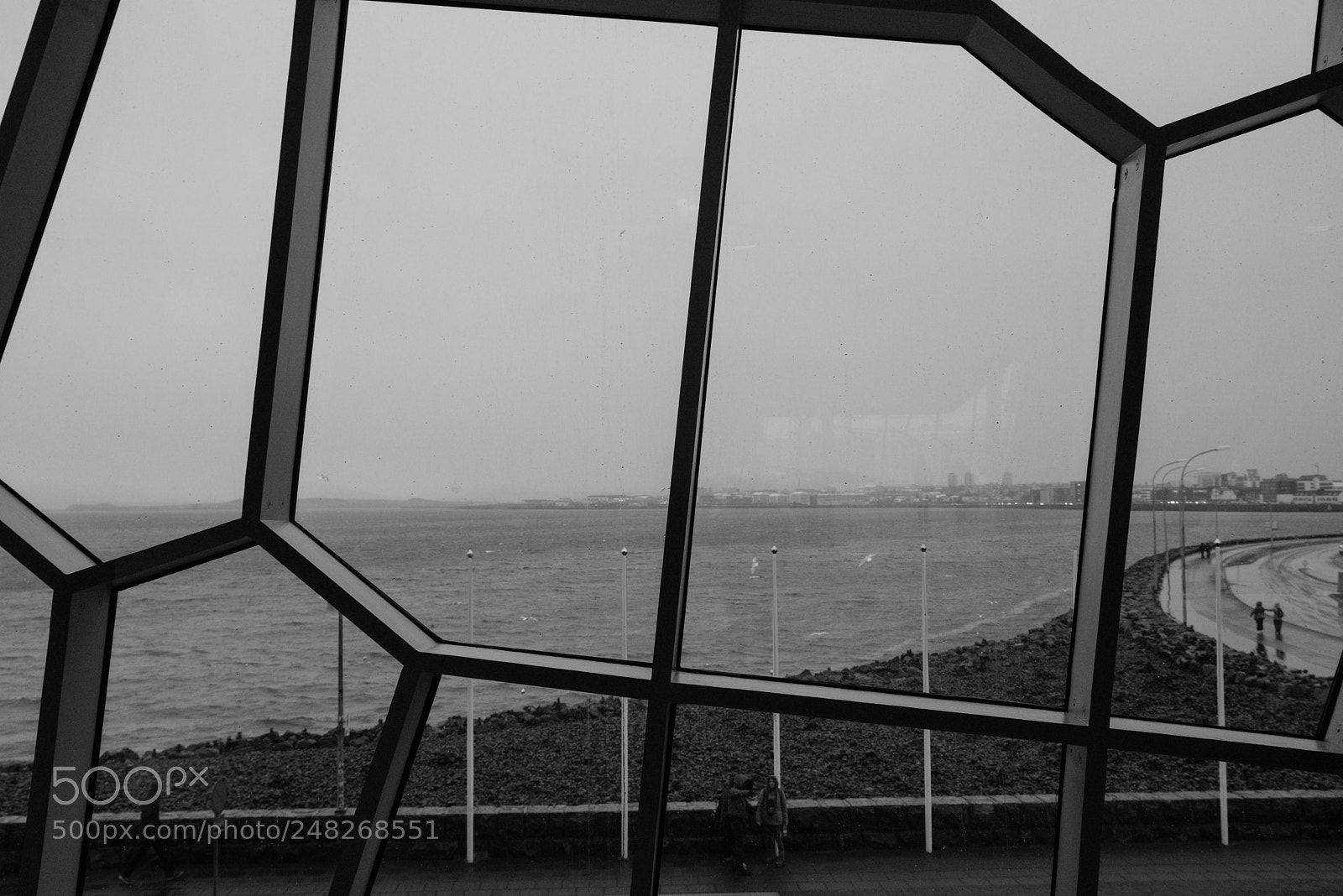 Nikon D610 sample photo. N2398_3 photography