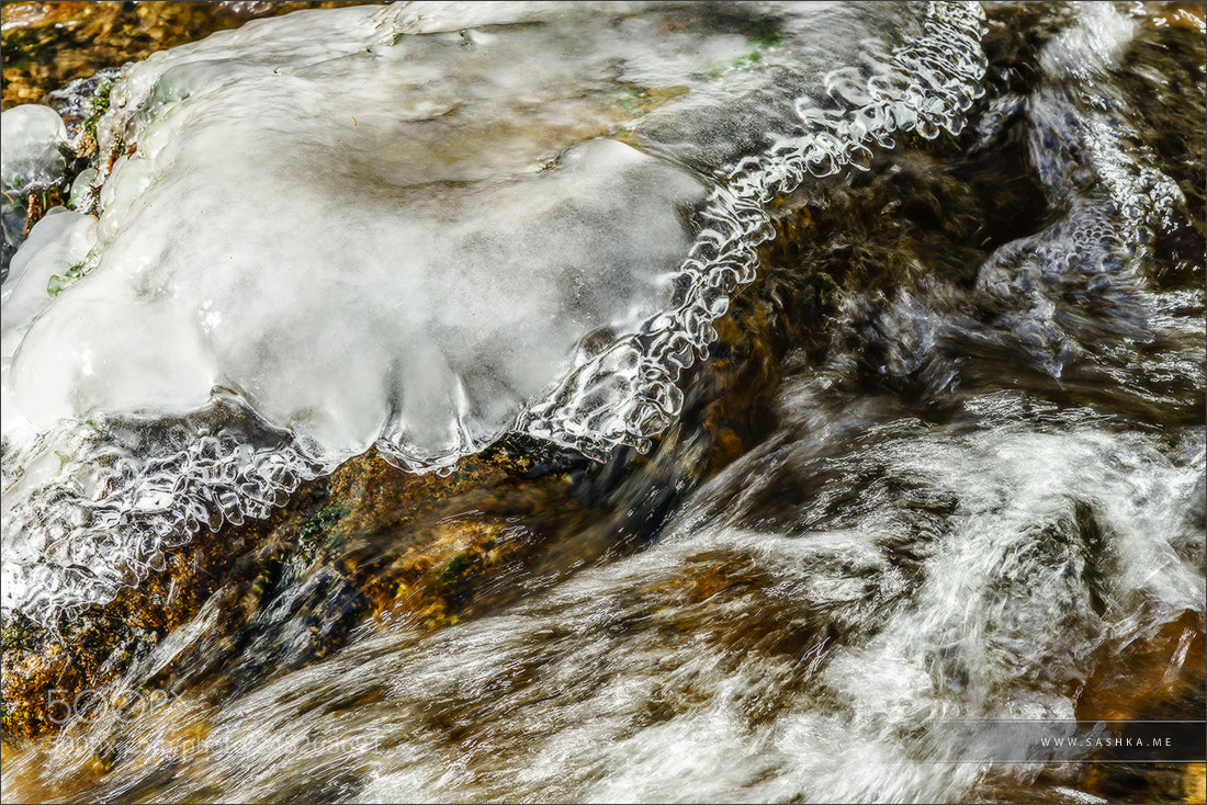 Sony Alpha a99 sample photo. Abstract close-up view of photography