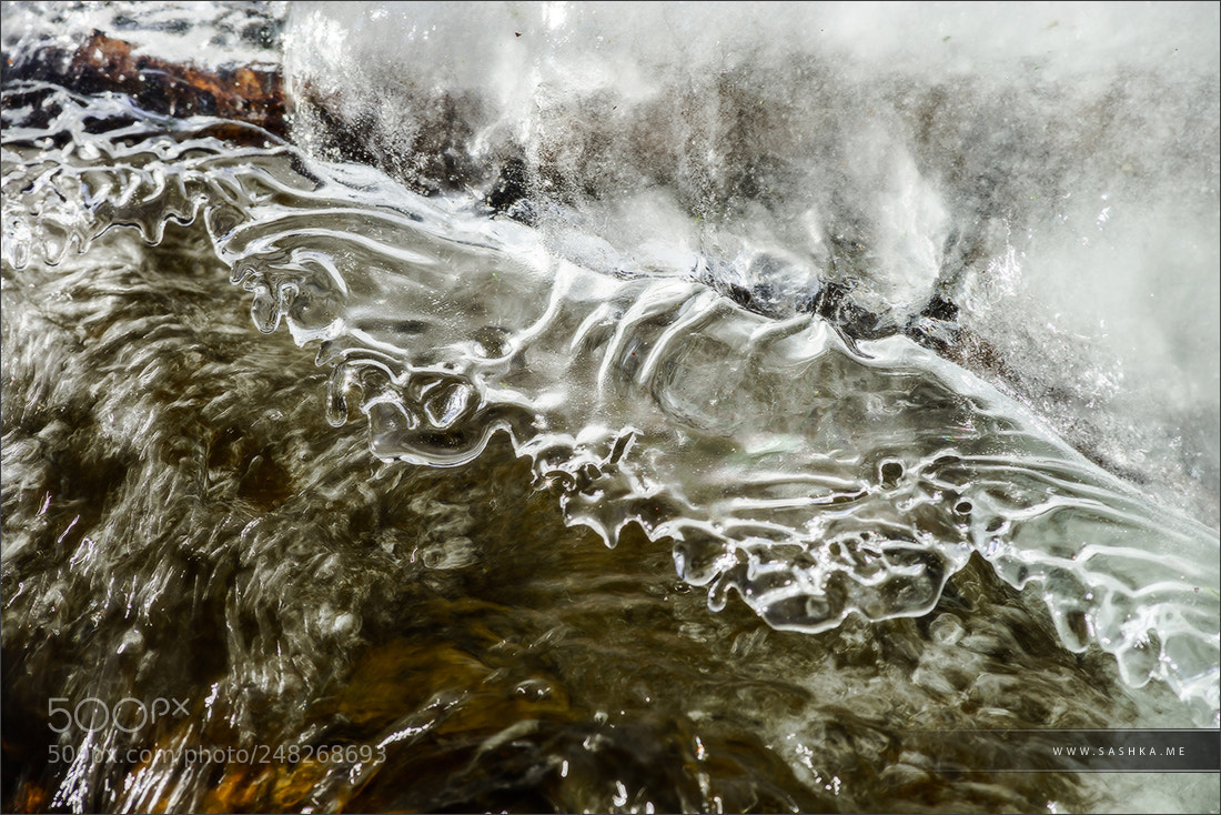 Sony Alpha a99 sample photo. Abstract close-up view of photography