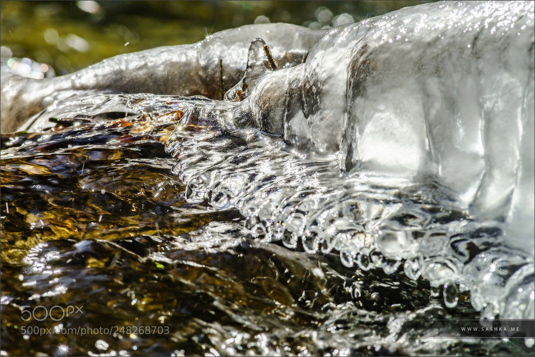 Sony a99 II sample photo. Abstract close-up view of photography