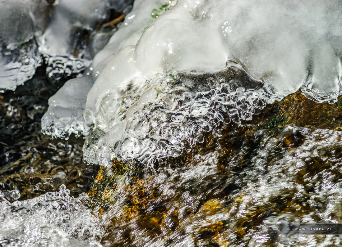 Sony a99 II sample photo. Abstract close-up view of photography