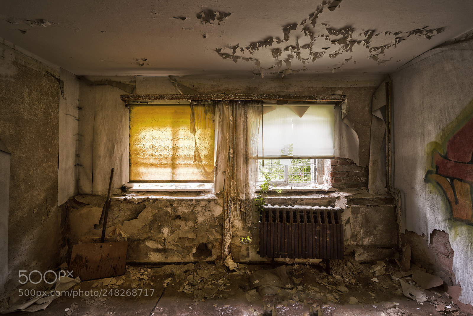 Sony a7R sample photo. The blinds photography