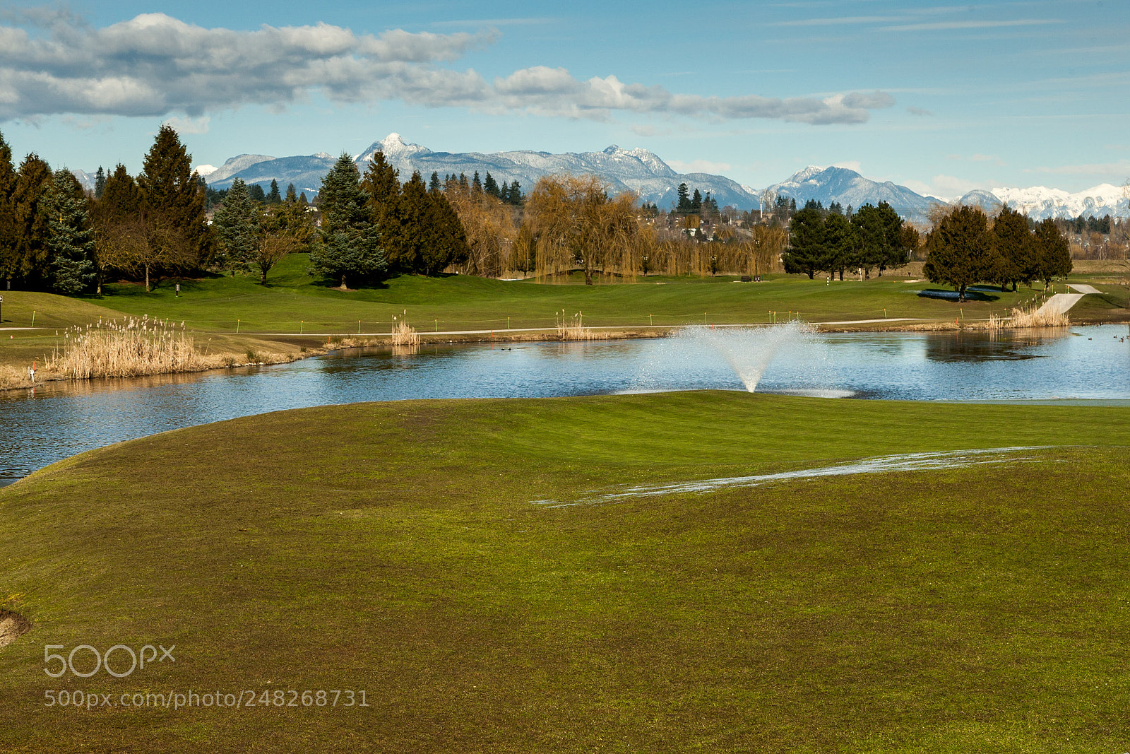 Canon EOS-1D Mark III sample photo. Northview photography