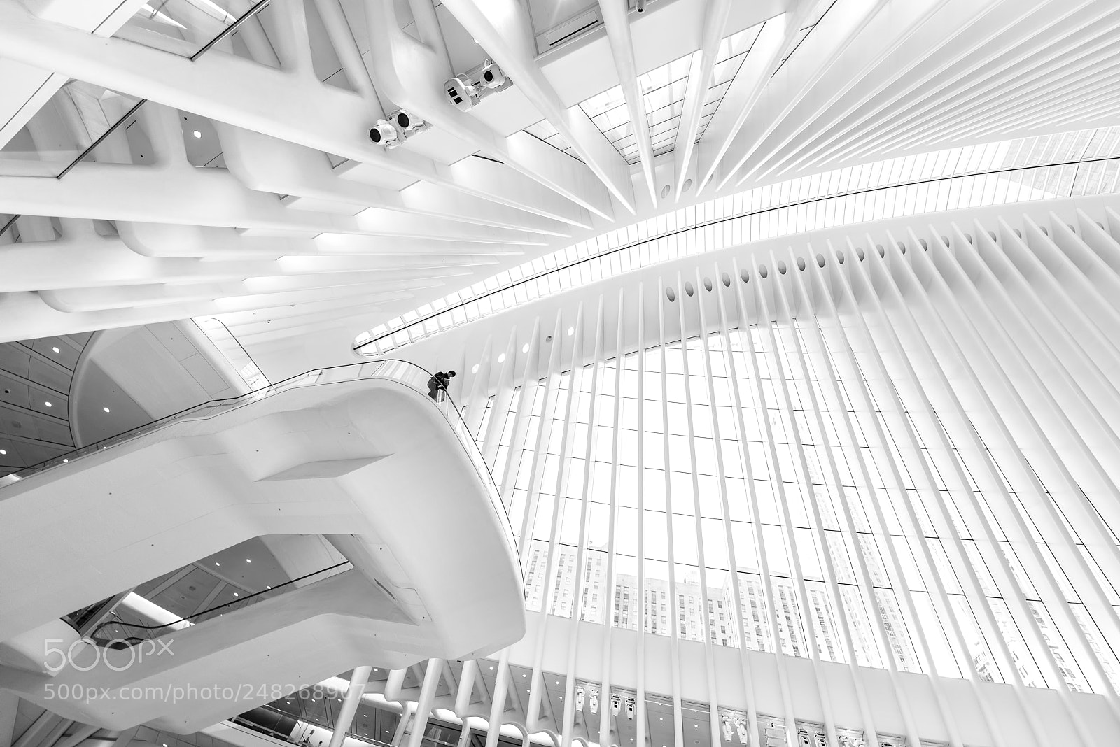 Nikon D800 sample photo. The oculus photography