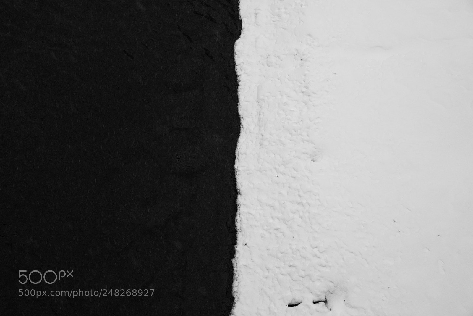 Nikon D610 sample photo. N2614_3 photography