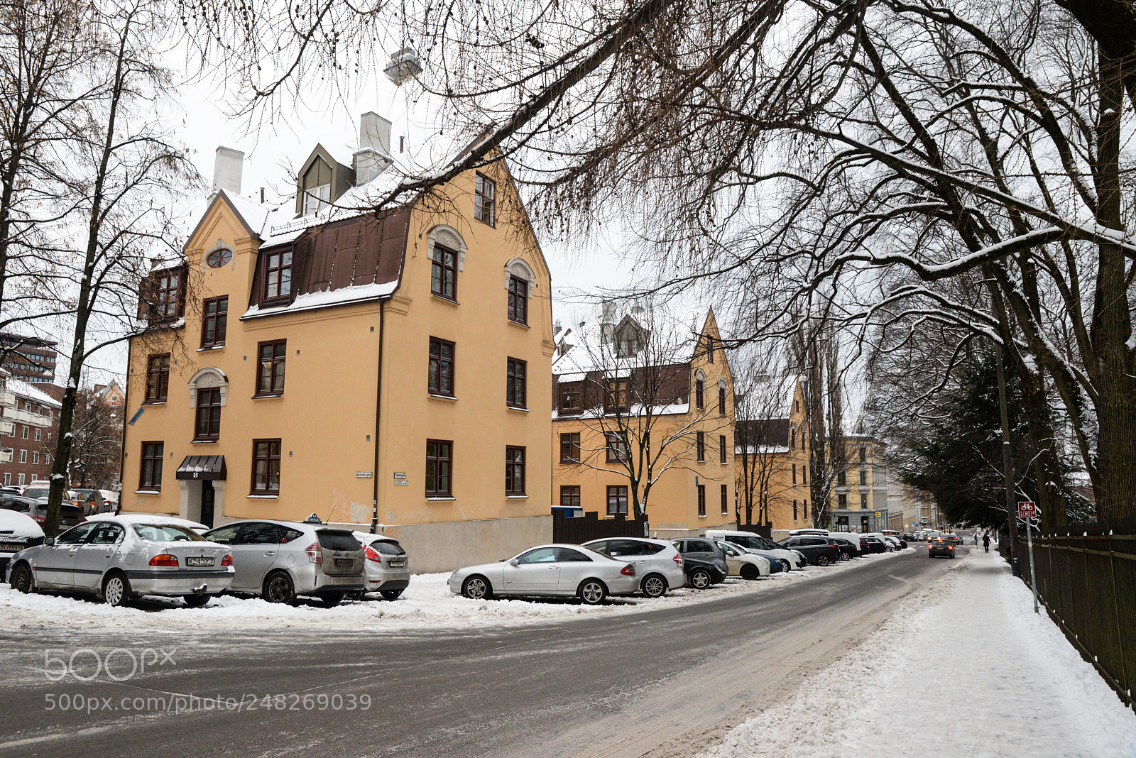 Nikon D610 sample photo. N2551_3 photography