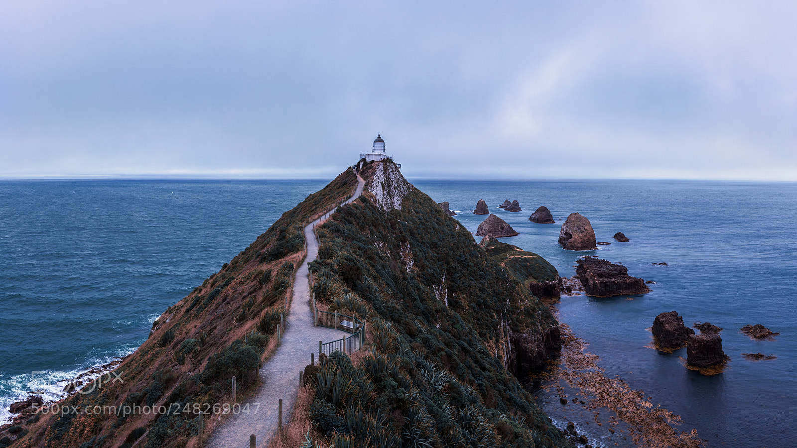 Canon EOS-1D X Mark II sample photo. Nugget point photography