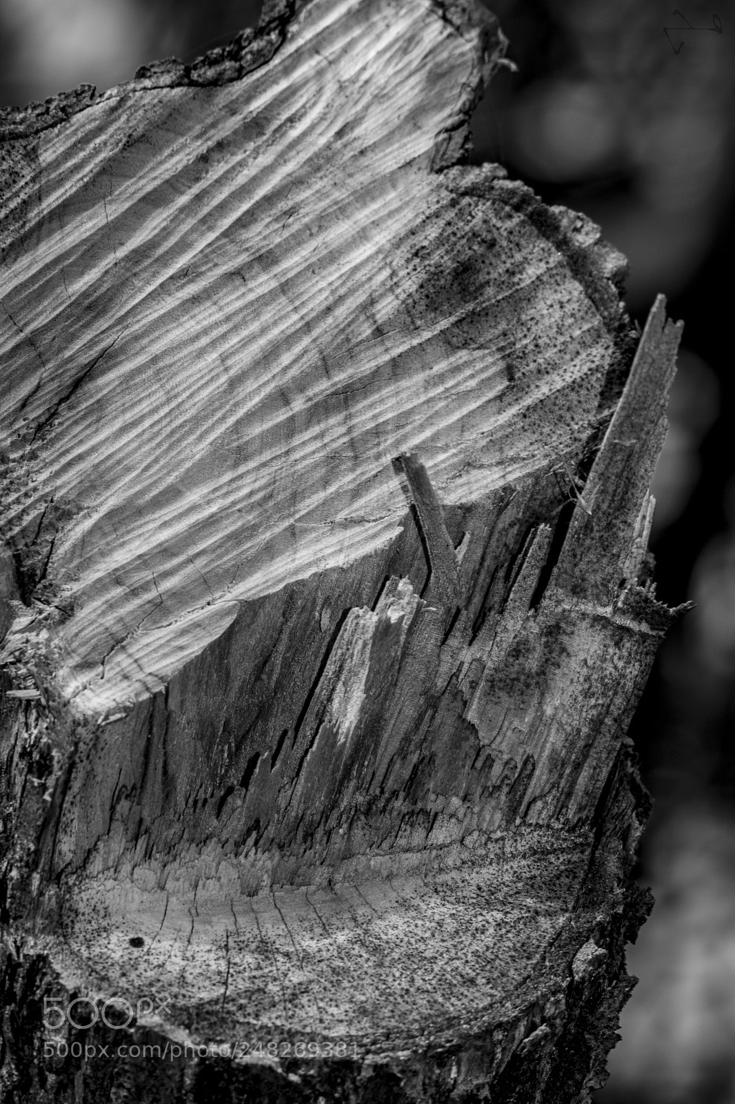 Nikon D5600 sample photo. Flight log photography