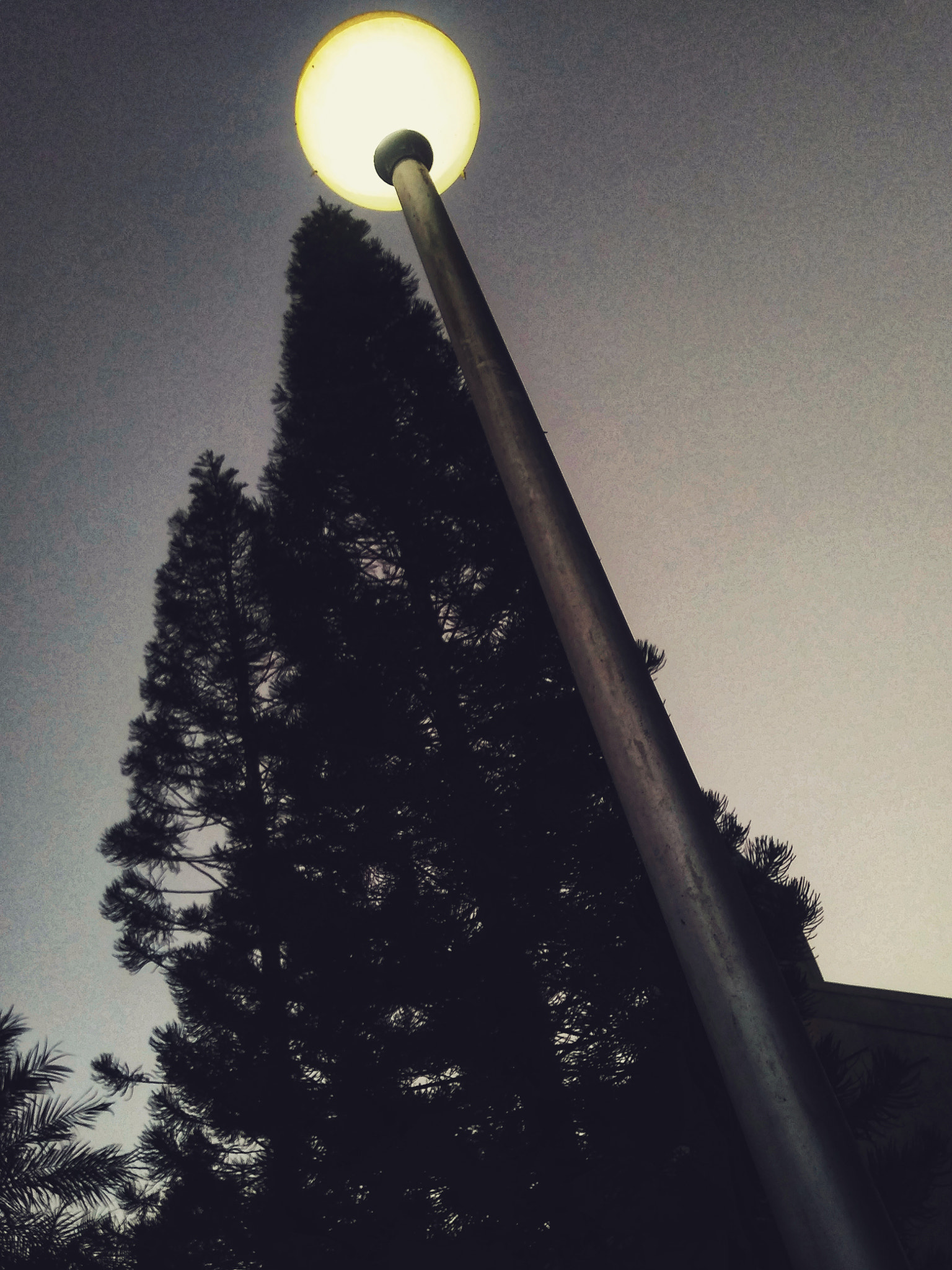 LG Q6 sample photo. Lonely light! photography