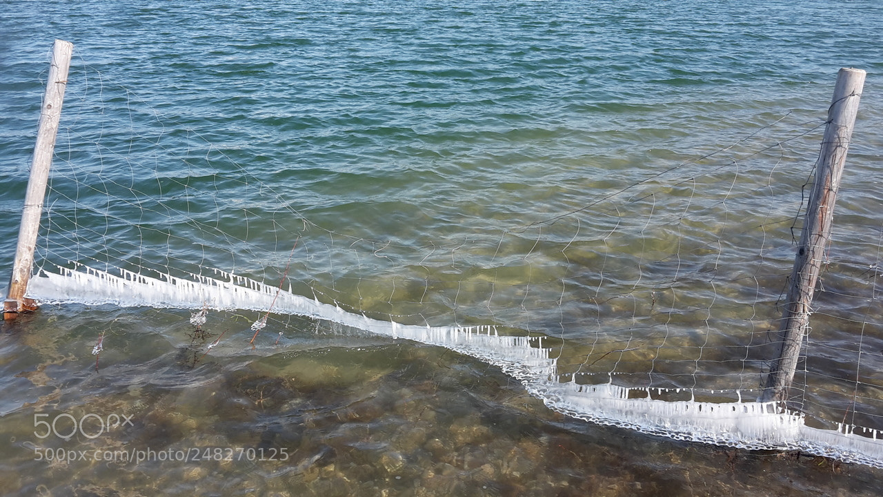 Samsung Galaxy S5 Mini sample photo. #ice on fence photography