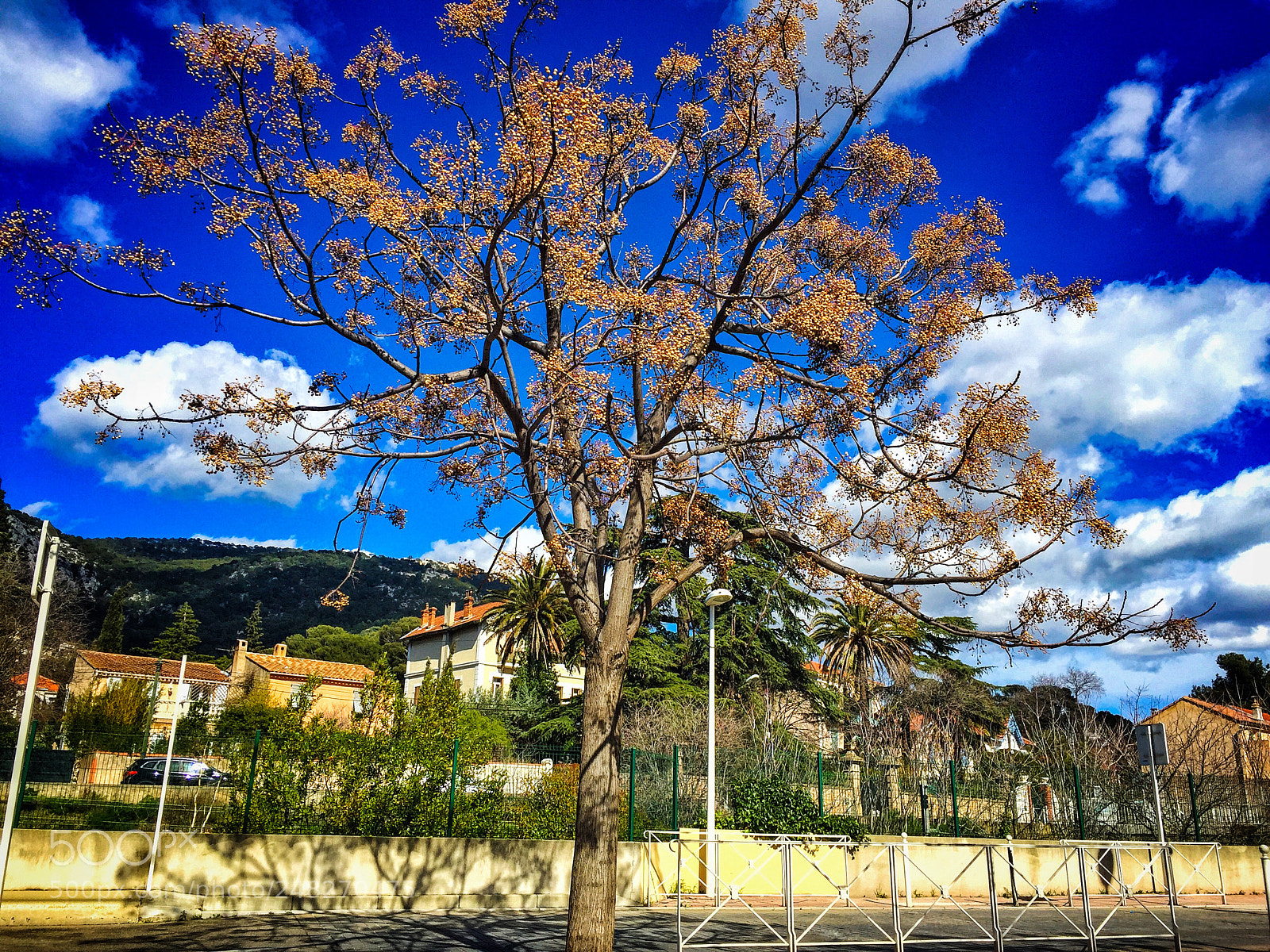 Apple iPhone 6 sample photo. Untitled photography