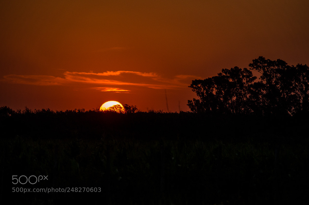 Nikon D3200 sample photo. Cae el sol! photography