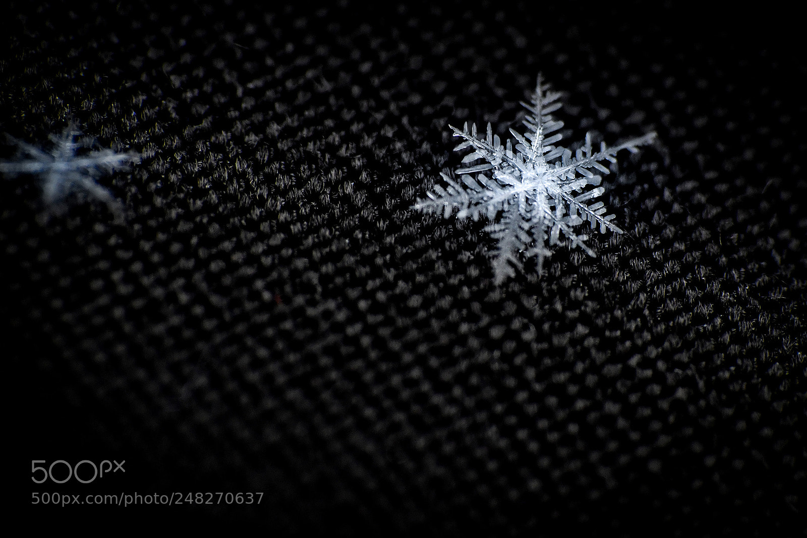 Nikon D7500 sample photo. Snowflake photography
