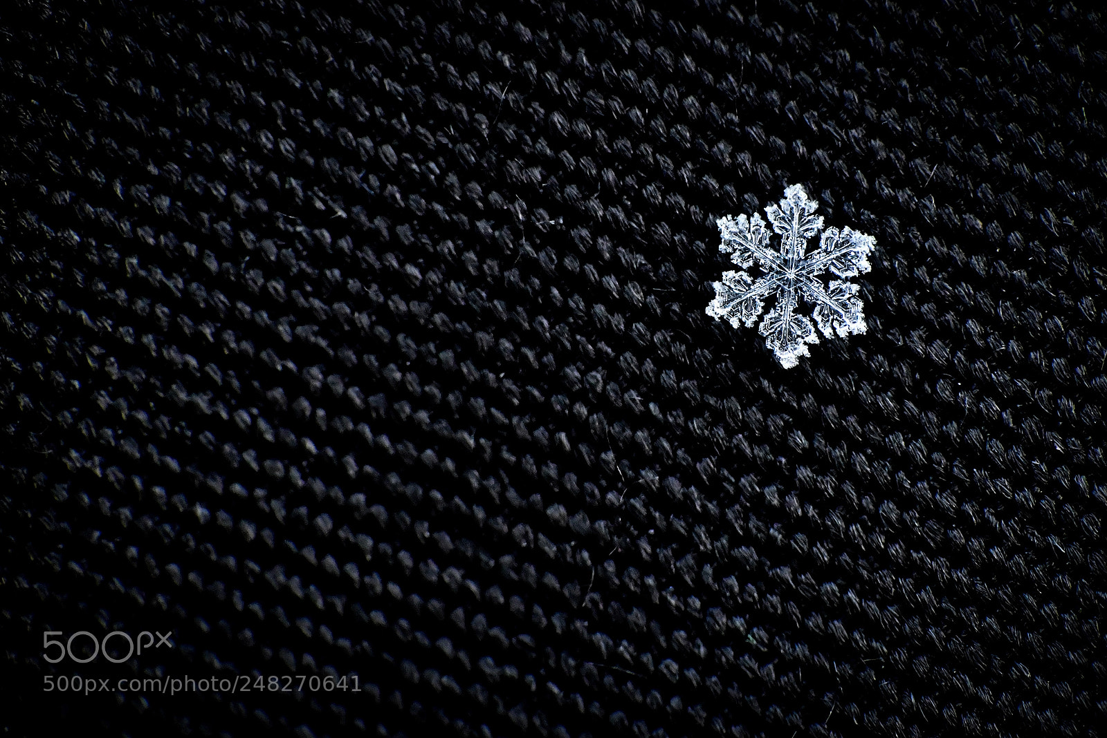 Nikon D7500 sample photo. Snowflake photography