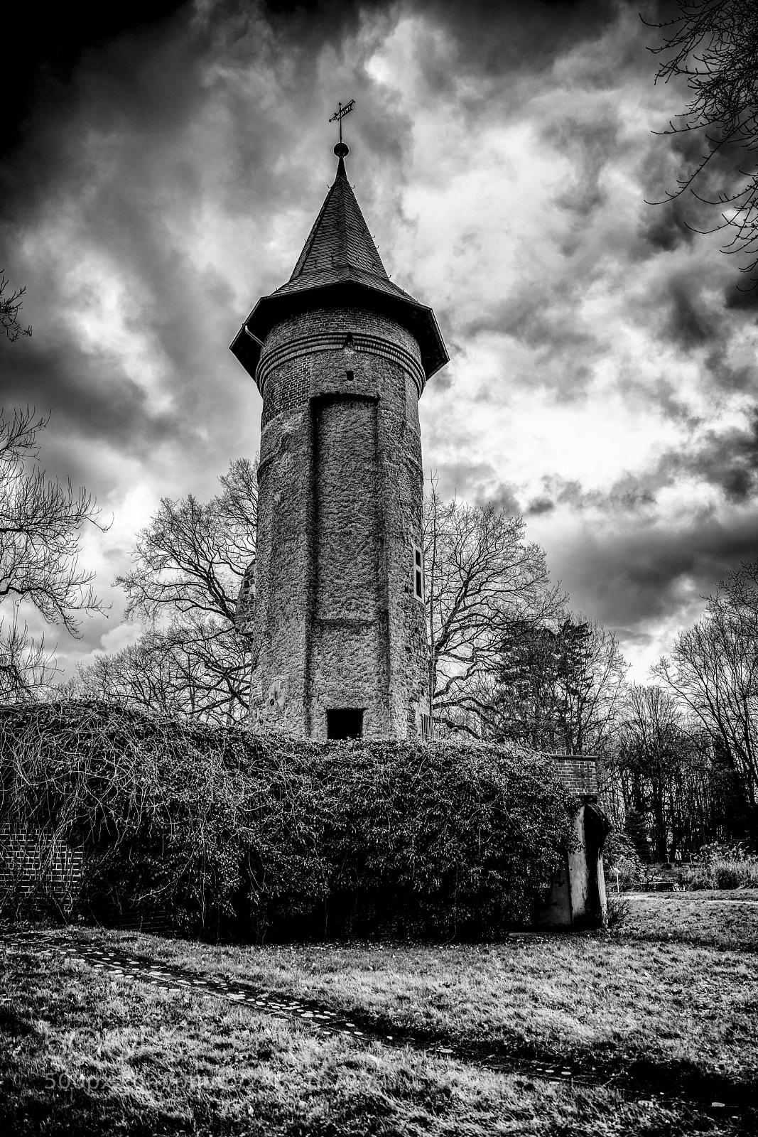 Nikon D850 sample photo. The tower photography