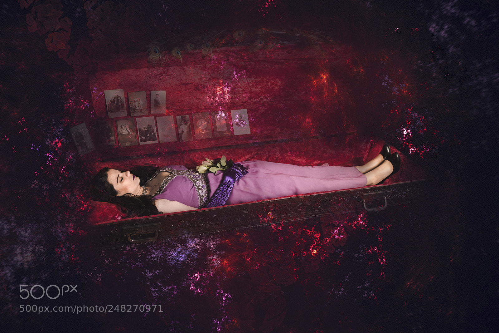Nikon D850 sample photo. Memento mori photography