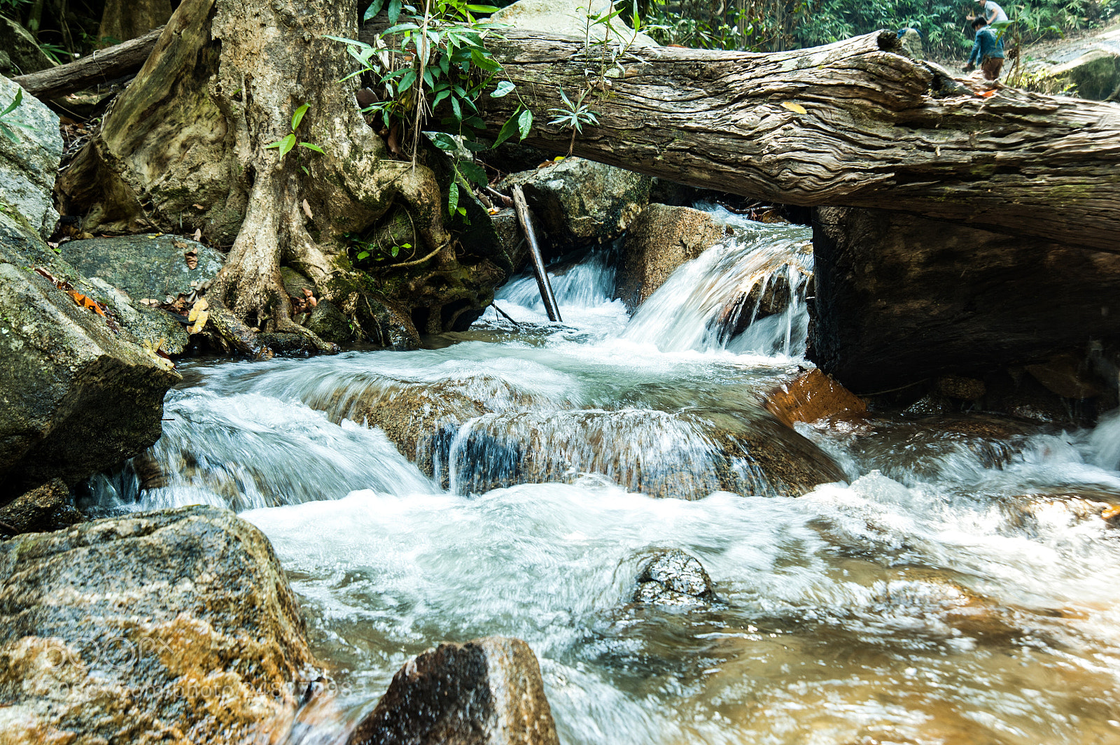 Nikon D700 sample photo. Kr ng b ng photography