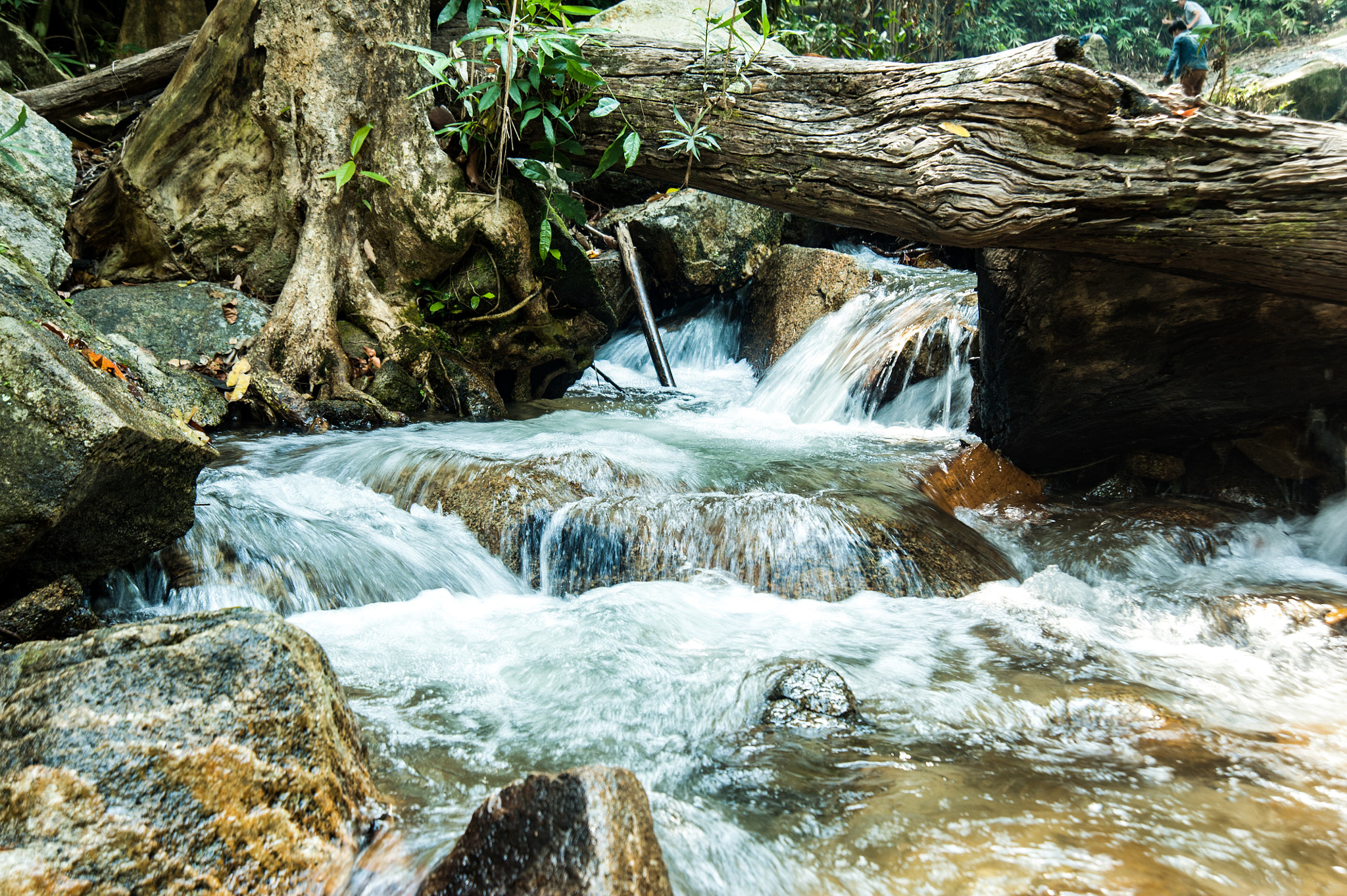 Krông Bông, Buôn Mê Thuộc, Việt Nam