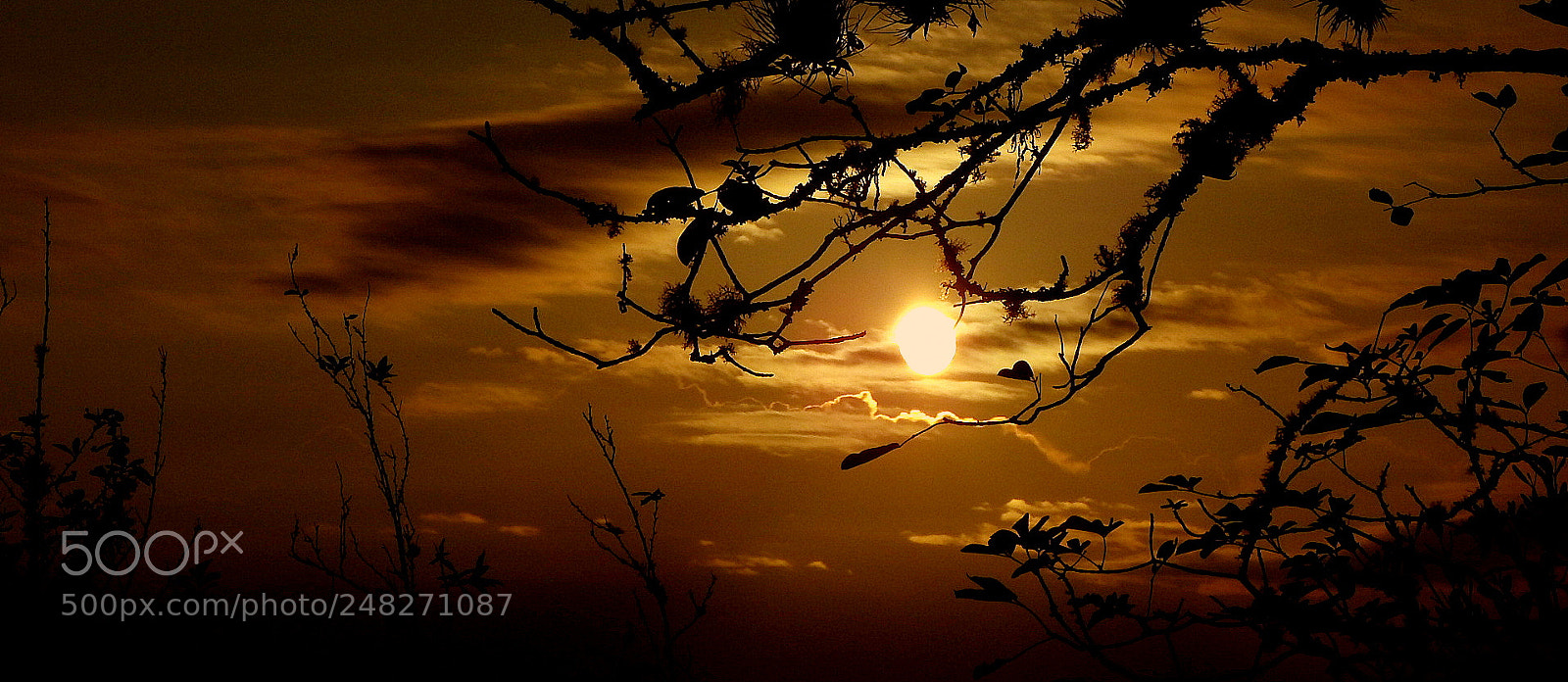 Fujifilm FinePix SL1000 sample photo. One picture photography