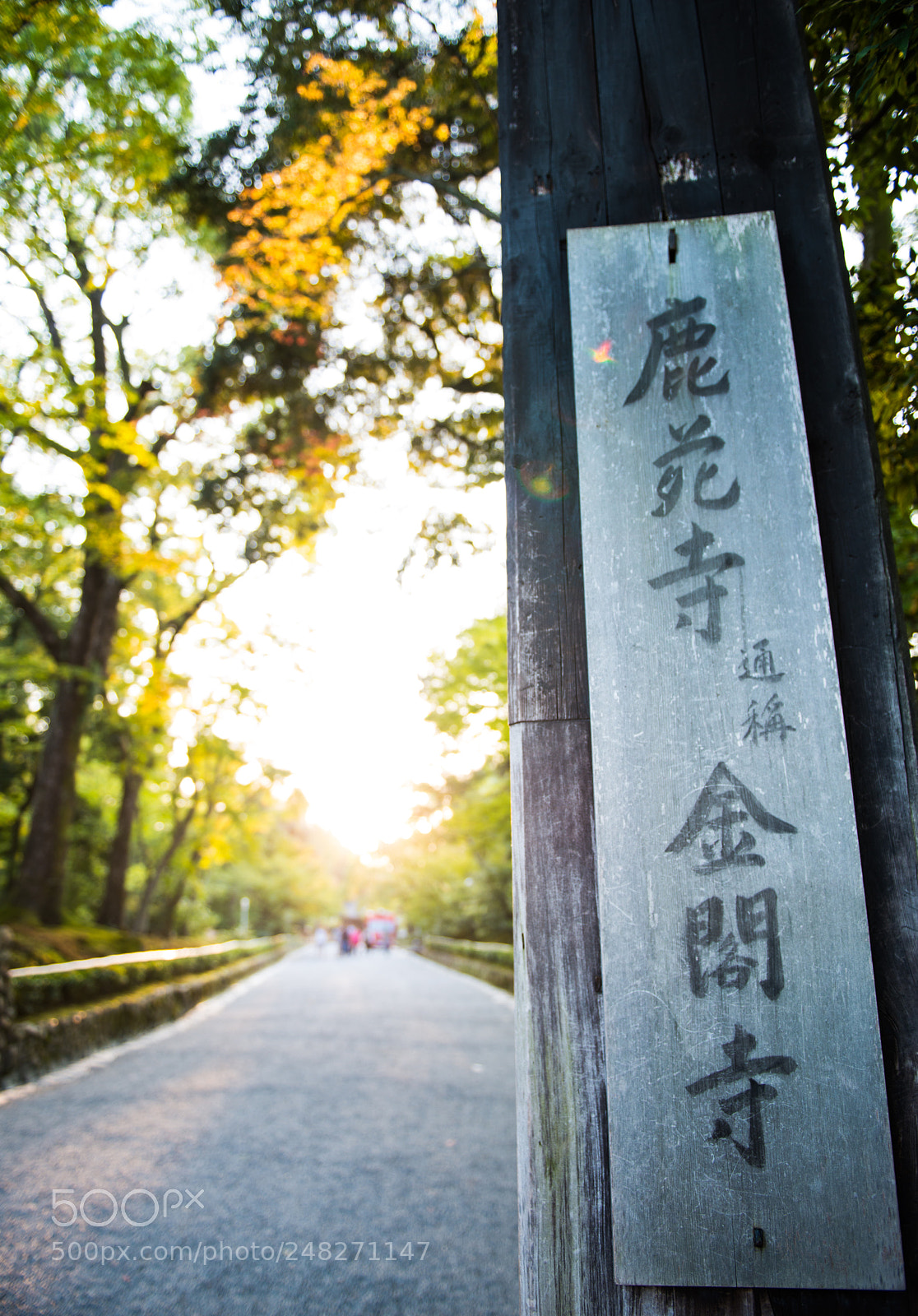 Nikon D800E sample photo. 鹿苑寺的黄昏 photography