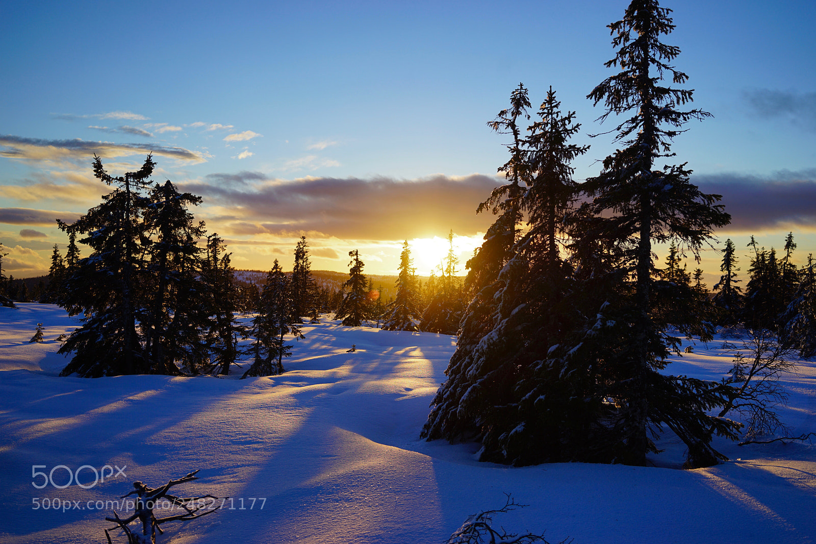 Sony a7 II sample photo. Winter feeling in the photography