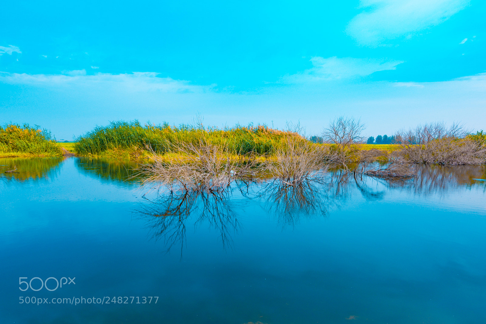 Nikon D810 sample photo. Desert lake. photography