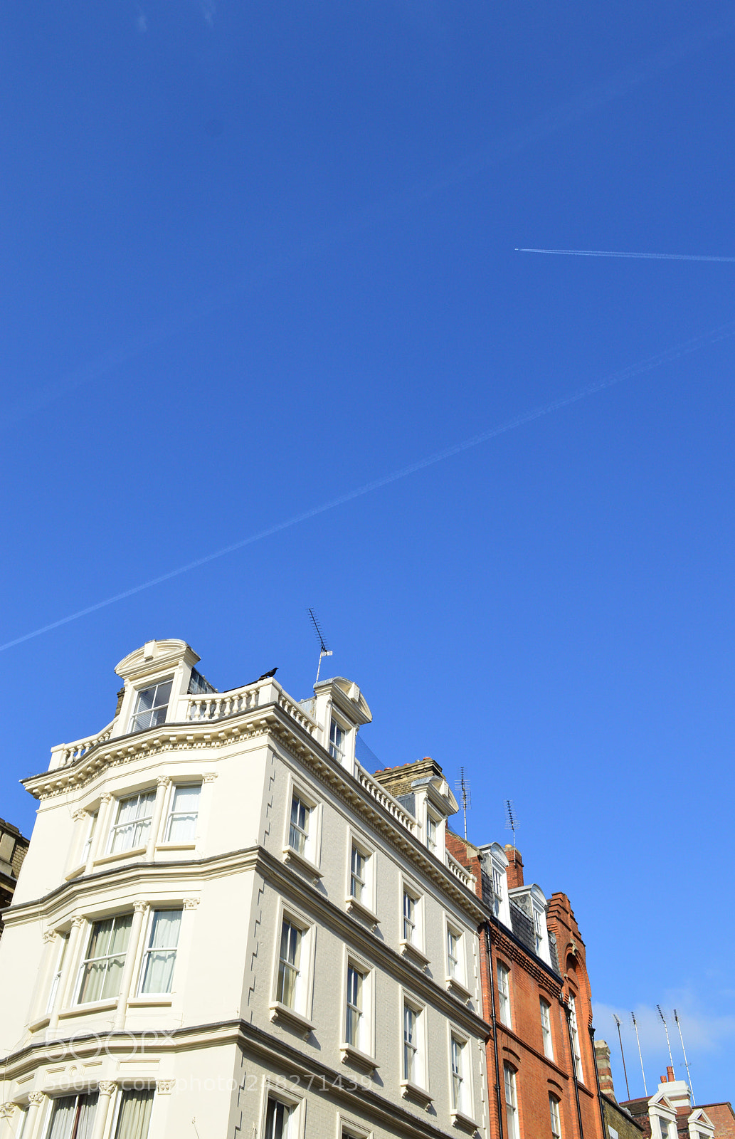 Nikon D3200 sample photo. Untitled photography