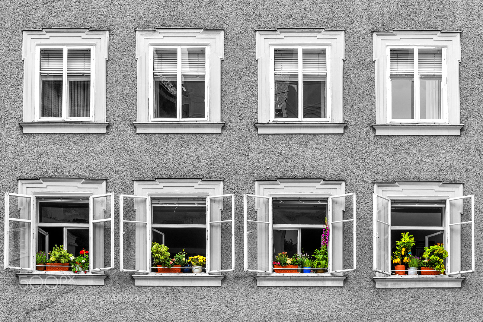 Nikon D600 sample photo. Open windows photography