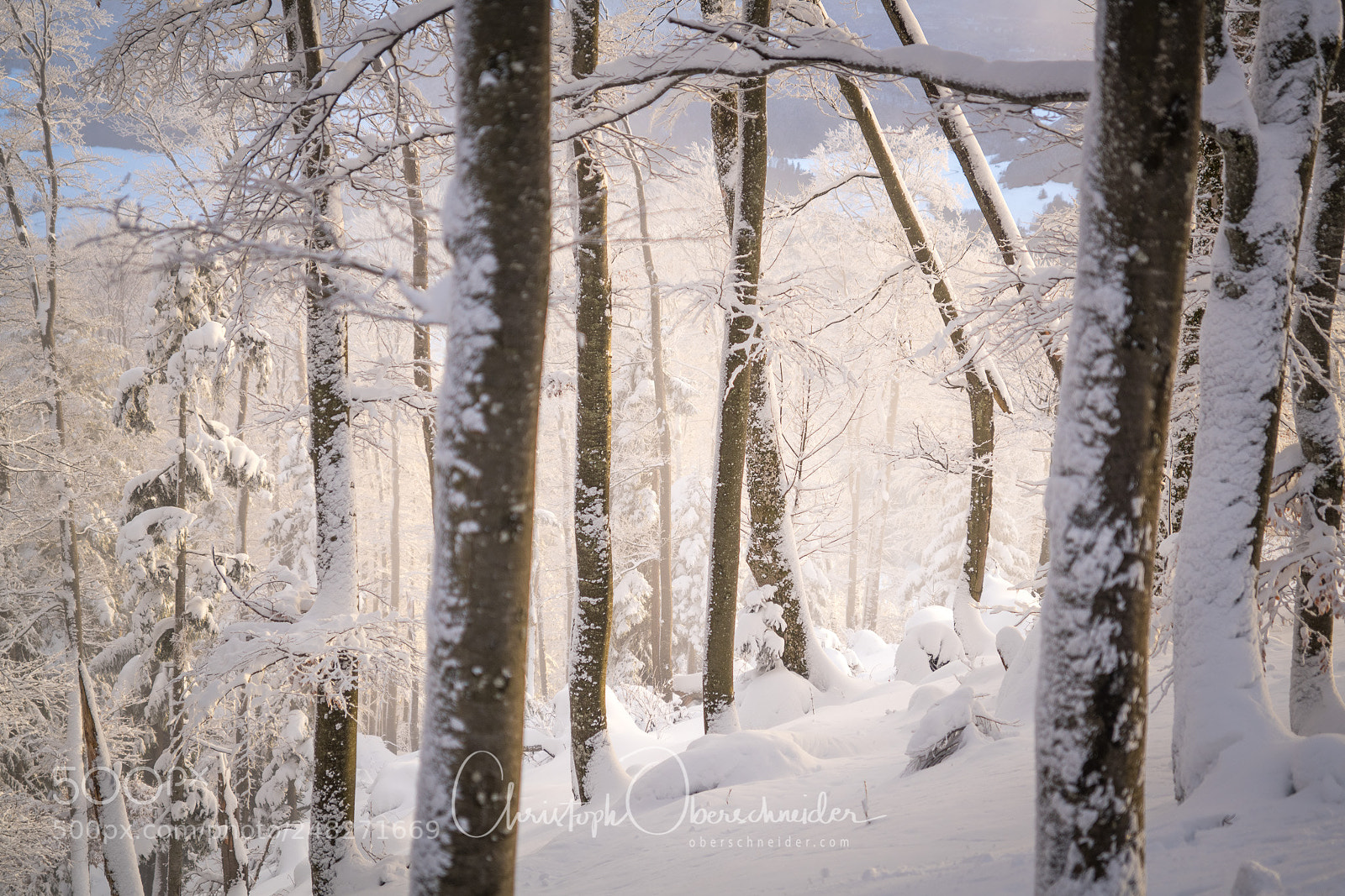 Sony a99 II sample photo. Magical light in winter photography