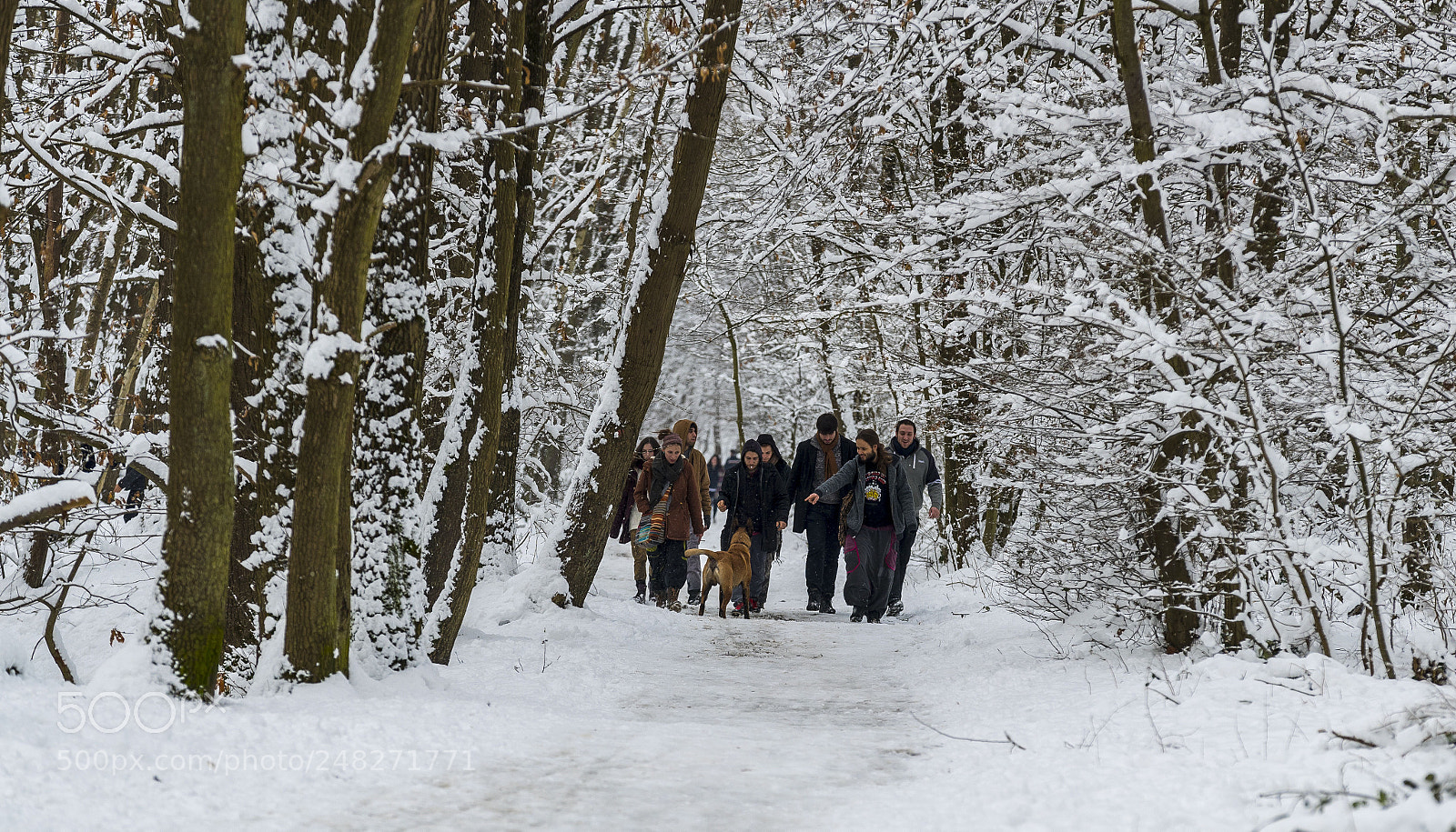 Canon EOS-1D X Mark II sample photo. Quand on arrive en photography