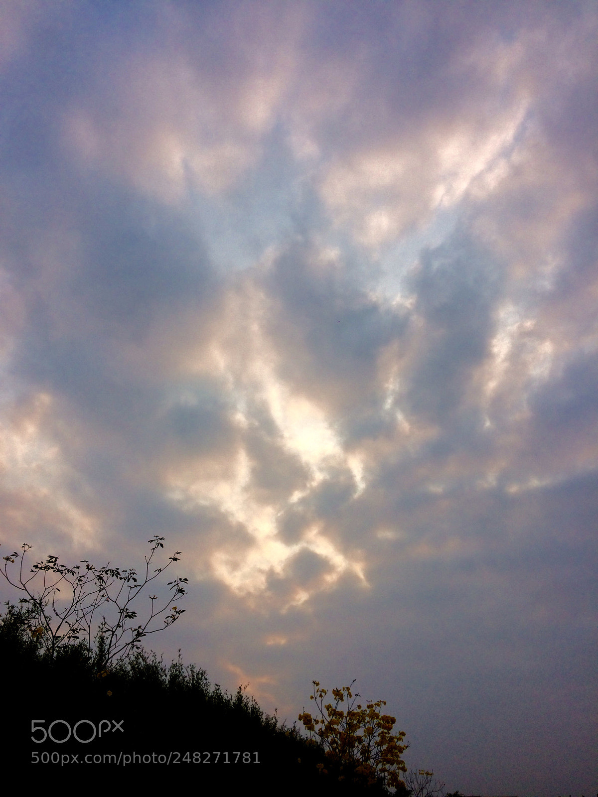 Apple iPhone 5s sample photo. Instance～ photography