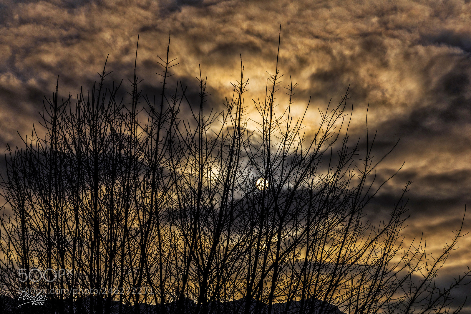 Sony SLT-A68 sample photo. Sol de invierno en photography