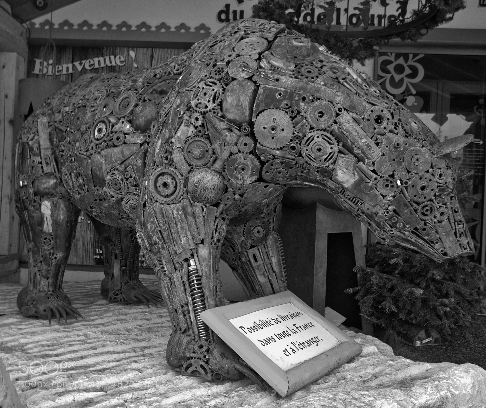 Sony Alpha a5000 (ILCE 5000) sample photo. L'ours a les rousses photography