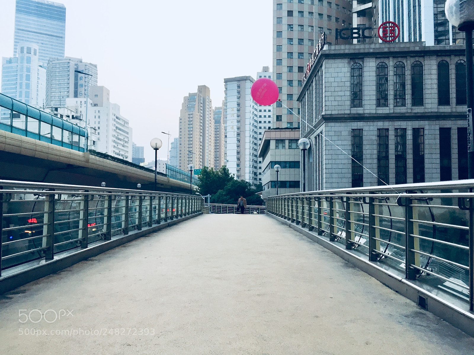 Apple iPhone 6 sample photo. Untitled photography