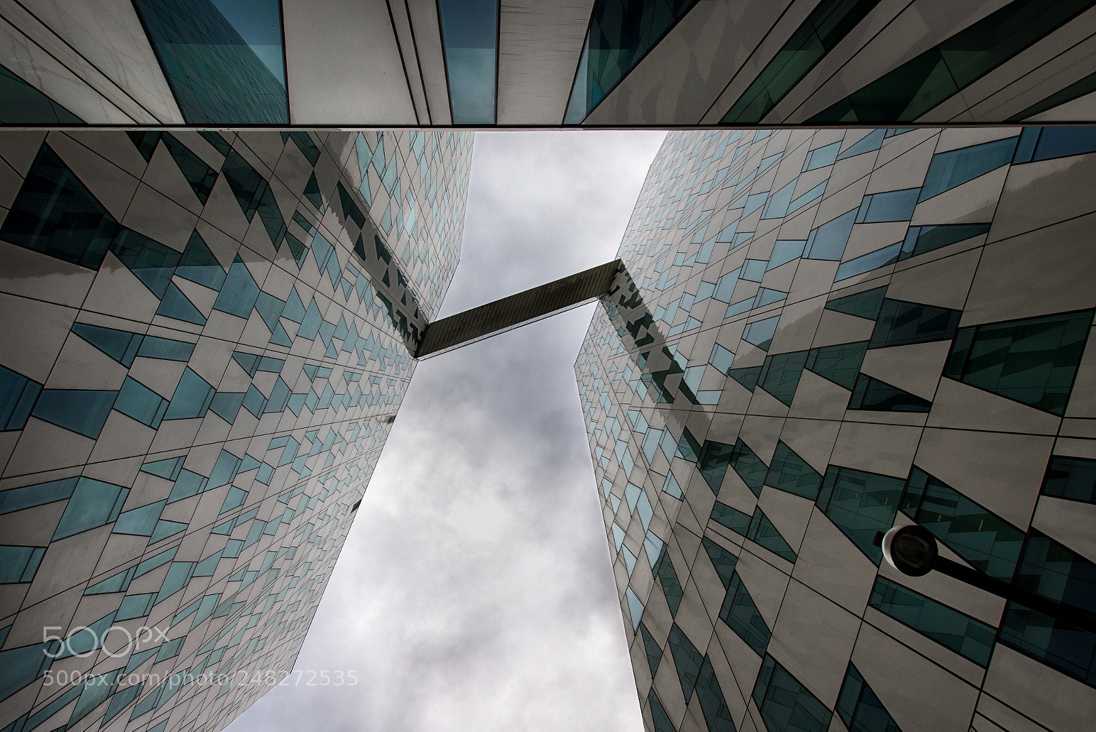 Nikon D610 sample photo. Discombobulation photography