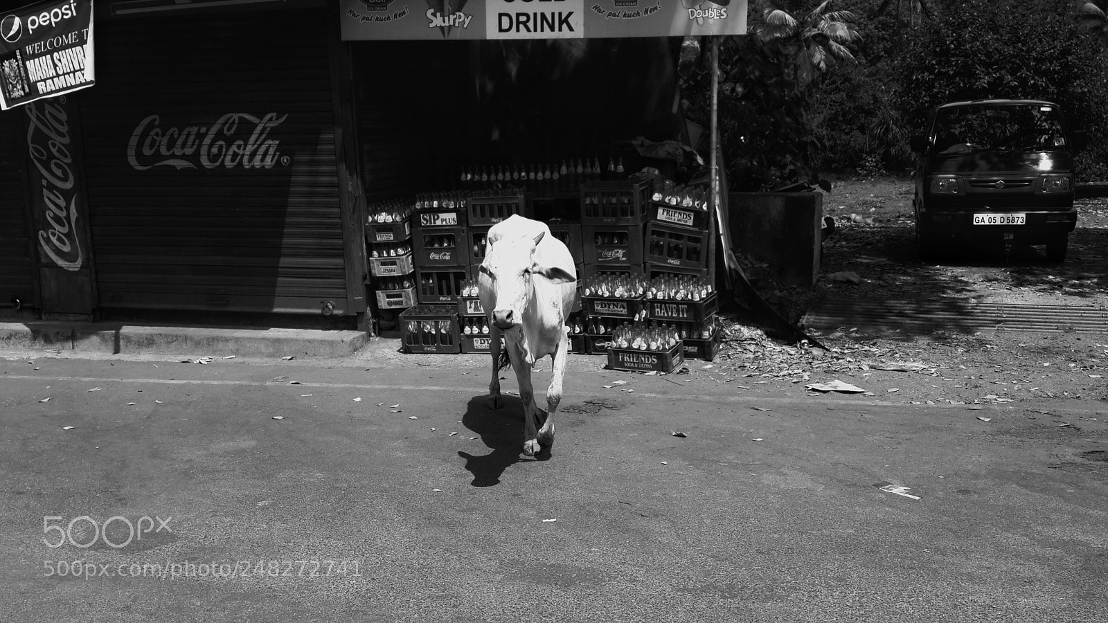 Samsung Galaxy S4 sample photo. The cow-walk photography