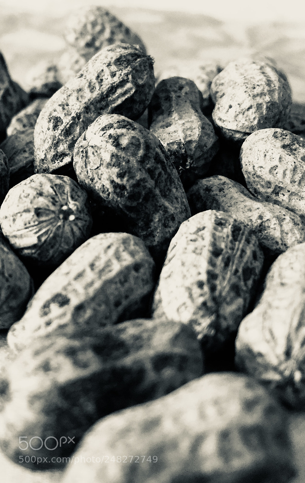 Apple iPhone 6 sample photo. Untitled photography