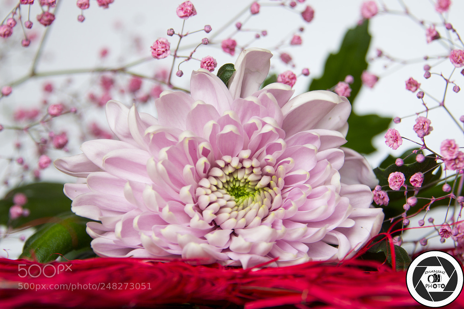 Nikon D3100 sample photo. Arcadia photography