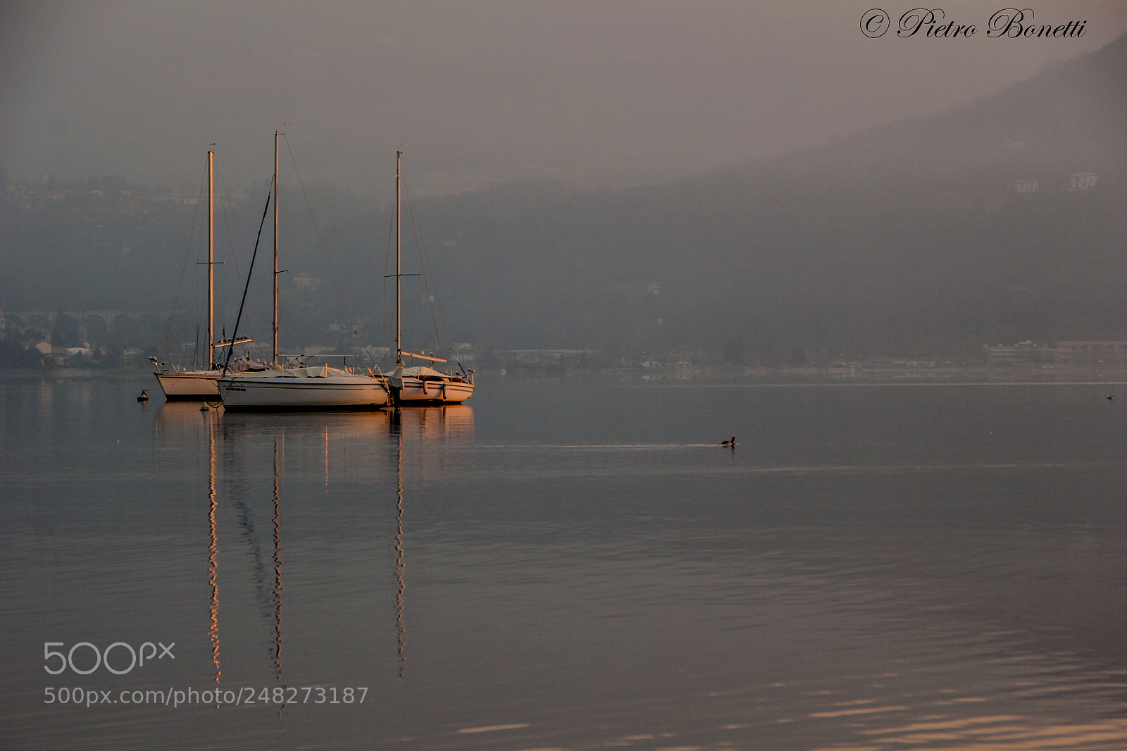 Canon EOS 60D sample photo. Caldo riflesso photography