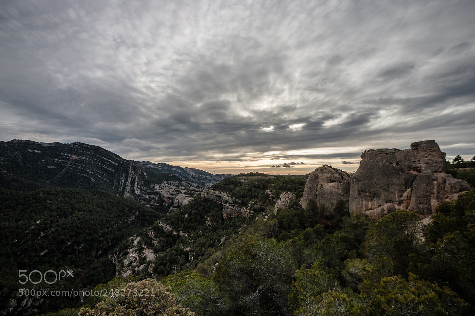 Canon EOS-1Ds Mark II sample photo. Serra de montsant photography