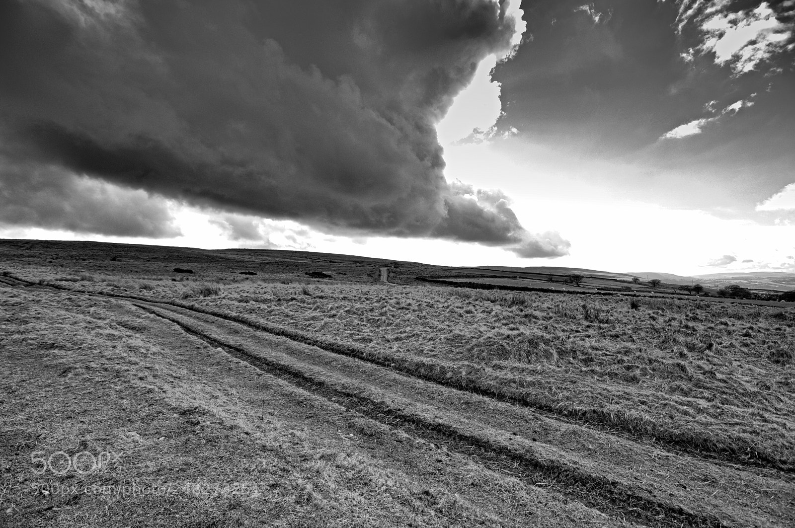 Nikon D2X sample photo. Mud and cloud photography