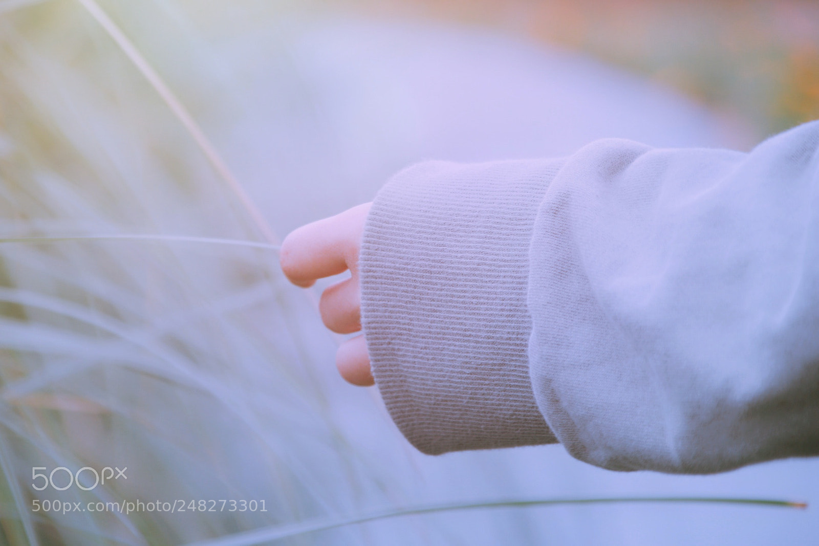 Canon EOS 80D sample photo. Untitled photography