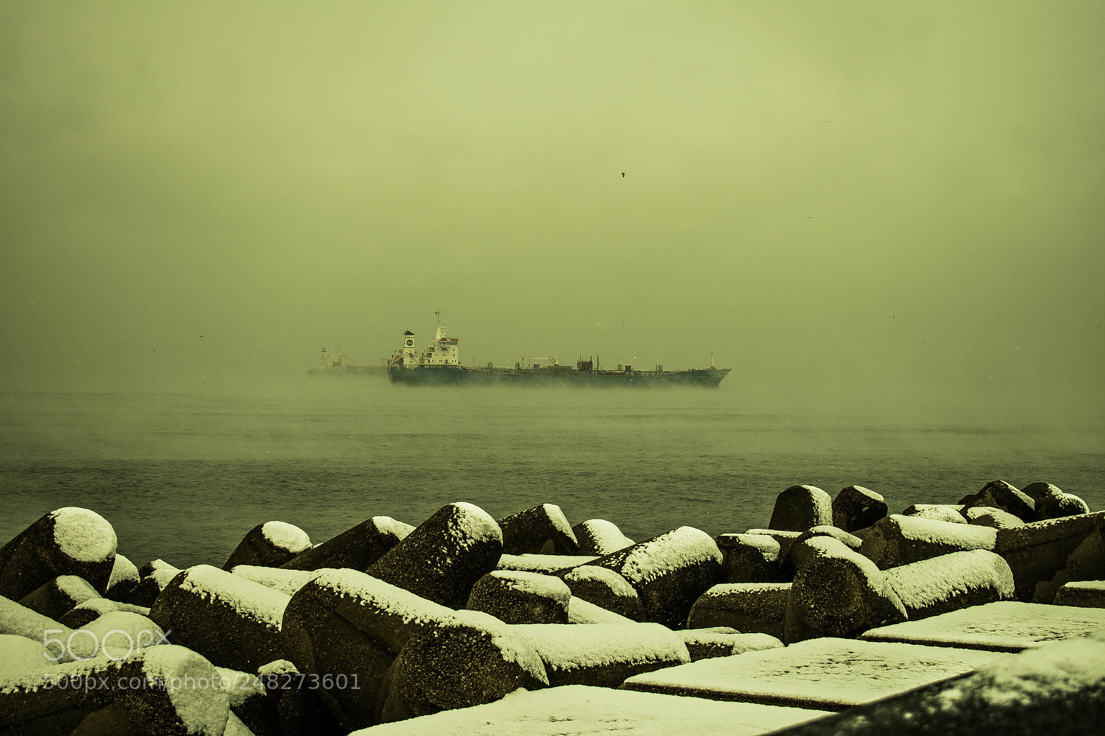 Nikon D5600 sample photo. Transport ship outside port photography