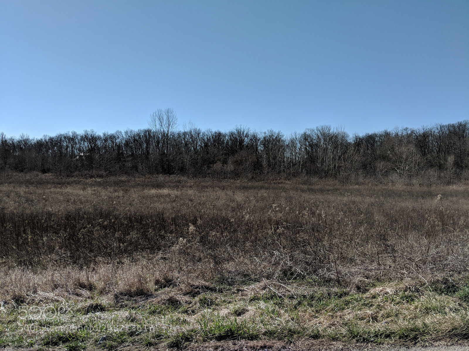 Google Pixel 2 XL sample photo. Untitled photography