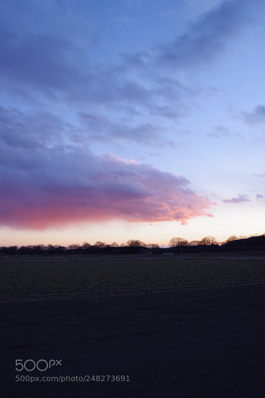 Pentax K-70 sample photo. Untitled photography